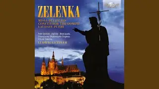 Missa Dei patris, ZWV 19, Kyrie: Kyrie eleison I (Chorus)