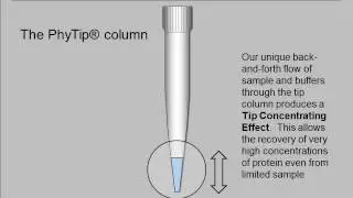 PhyNexus Tip Concentrating Effect. Short version.