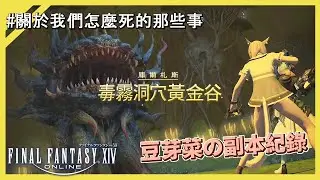 【FF14豆芽紀錄】各位冷靜，在黃金谷不要衝動Σ(*ﾟдﾟﾉ)ﾉ｜學者視角｜我怎麼.. #ff14 #下班玩遊戲