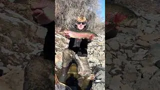 Gorgeous little rainbow! #colorado #fishing #troutfishing #icefishing #trout #wintersport #fyp