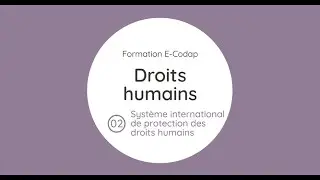 CODAP DROITS HUMAINS MODULE 2