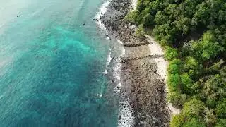 WILDBOOK (AMBIENT MUSIC)