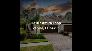NEW TV SPOT 12187 AMICA LOOP