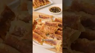 homemade pork & cabbage potstickers