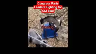 Scamgress Party Leaders Fighting for CM Seat #shorts #viral #shortsviral #revanthreddy #ktr #brs
