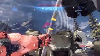 Flag vs Mantis