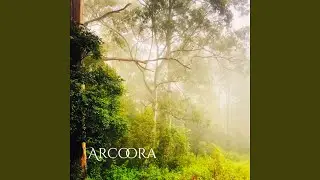 Canopy Murmurs