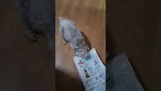 Dog Food Bag