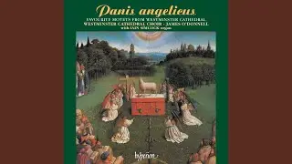 Fauré: Maria, mater gratiae, Op. 47 No. 2