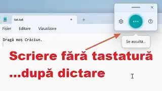 Dictare în limba Română Windows 11