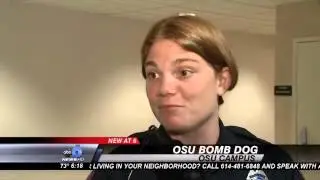 OSU's New Star: A Bomb-Sniffing Dog