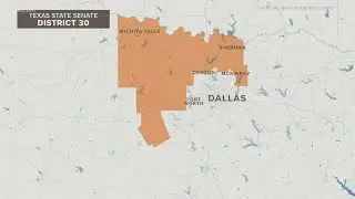 Republicans Shelley Luther, Drew Springer head to runoff in special election for Texas Senate Distri