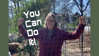 I Put This Cattle Panel Arch Trellis Up Myself!