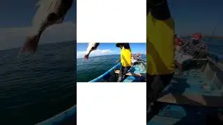 Angling #malvan #fishing #jigging #wildfishing #predator #hunter