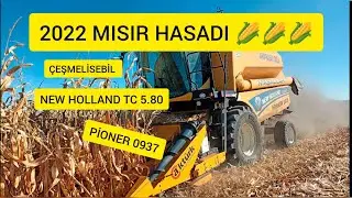 ✨2022 MISIR HASADI 🌽✨ NEW HOLLAND TC 5.80✨ İLE 5Lİ AKTÜRK MISIR TABLASI✨ (PİONER 0937) ÇEŞMELİSEBİL
