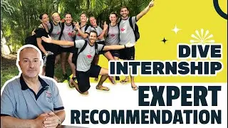 DIVE INTERNSHIP | EXPERT RECOMMENDATION