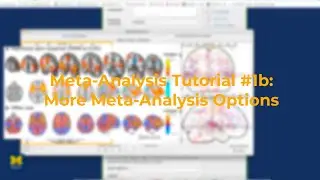 fMRI Meta-Analysis Tutorial #1b: Contrasting Meta-Analyses