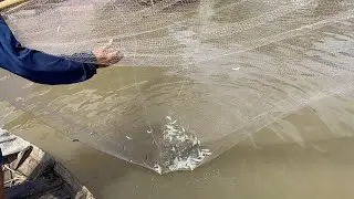 Một Ngày Theo Chân Ông Ba Xúc Cá Theo Bè..! Và cái kết Quá ấm..!!!
