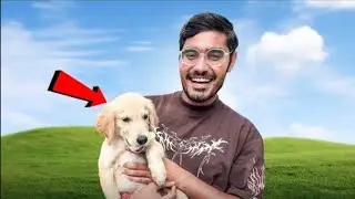 Our New Family Member- Iska Kya Name Rakhe?   l Amit Crazy XYZ 
