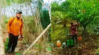 Ada ada aja ulah tokeh yang satu ini, lanjut upahan lagi ‼️