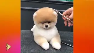 Awesome mix Oddly Satisfying Video & Relaxing Music & Feel Comfort