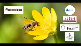 Will Hawkes | The Most Remarkable Migrants of All | Virtual Caf&eacute; Sci