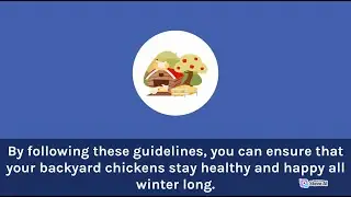 Backyard Chickens | Winter Survival | Winterization Cold Weather Preparedness | Paw Print Adventures