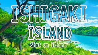 Tropical Japan?! Exploring Beautiful Ishigaki Island