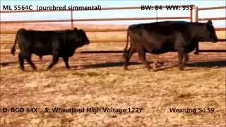 2015 Bull Pasture Tour