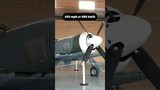 The Hawker Tempest - From Backup Plan to Air Superiority