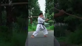 Add Some Music To The Karate Blood  #quanghaindk #karate #taekwando #martialarts #shortvideo #shorts