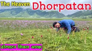 Dhorpatan | ढोरपाटन शिकार आरक्ष | Dhorpatan Hunting Reserve Baglung | Dhorpatan Vlog Ft.@RanjoEp. 6