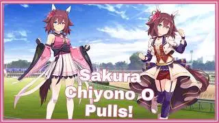 Sakura Chiyono O Pulls! - Umamusume: Pretty Derby