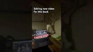 New video about to hit your line! #deer #hunting #video #new #editing #creator #imovie #mount #euro