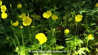 Good Nature - Kathy Willis