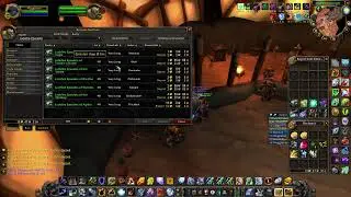 Dire Maul East Lasher Farm - Shaman - Turtle WoW