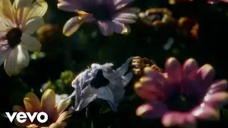 MezzoSangue - Valzer (Official Visual Video) ft. nayt