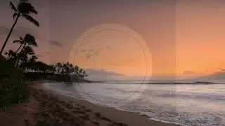 The Jon Jelmer's Hawaiian Collection