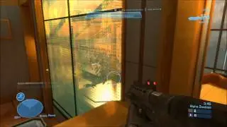 Reflection World Record by Survitron | 116 Points!