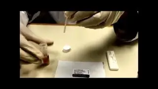 TruStrip RDT Meat Adulteration Test - Sample Testing Procedure