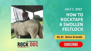 Equine RockTape KinesioTape for swollen fetlock.