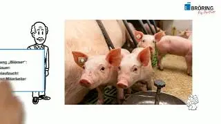 BR&Ouml;RING Pig Partner - Ferkelfutter FAVO