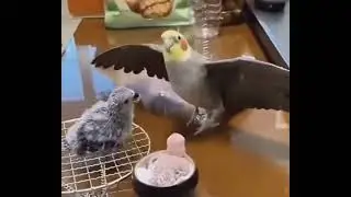 TO