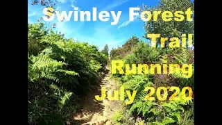 Swinley Trailrunning July 2020