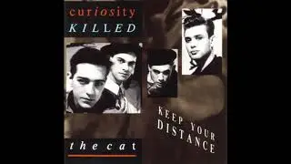 Curiosity Killed the Cat - Red Lights