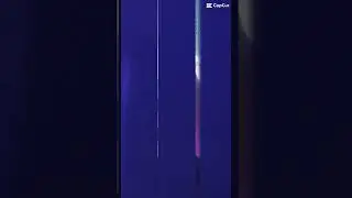 Holy penguin ￼
