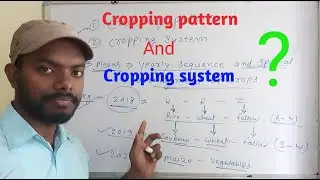 Cropping pattern | cropping system (India) # Amresh Sana