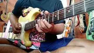 Marina Stratocaster Made In Japan 1980