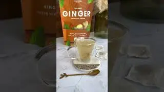 Light & Delicious Ginger Tea | USDA-Organic, Caffeine-Free