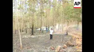 Indonesia - Forest fires continue to devastate